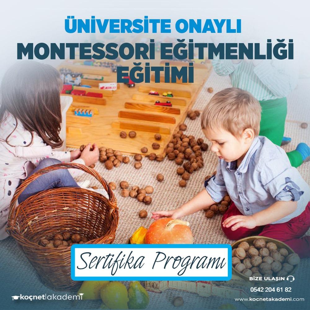 Montessori Eğitmen Eğitimi 100 Saat
