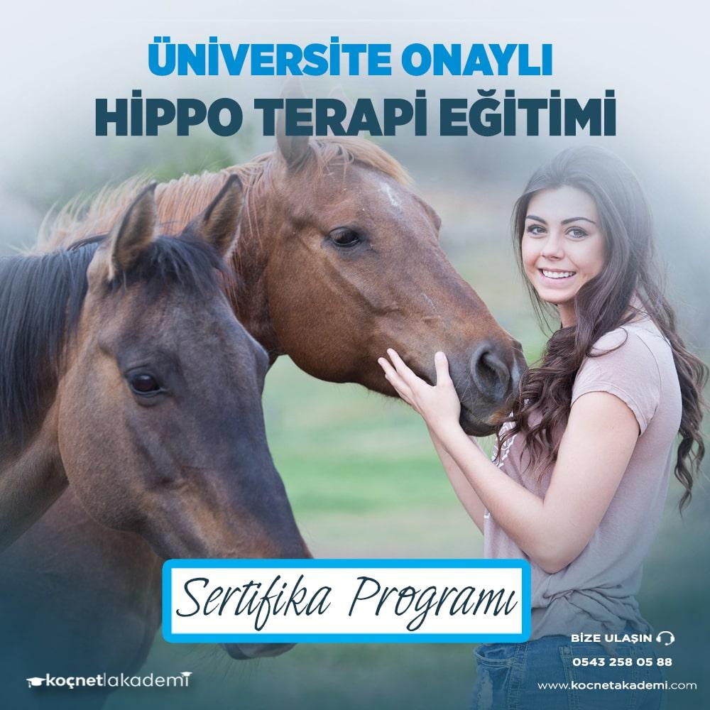 Hippo Terapi Eğitimi Sertifikası Programı